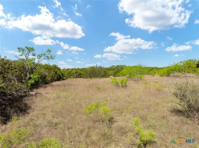 a view of outdoor space and a yard