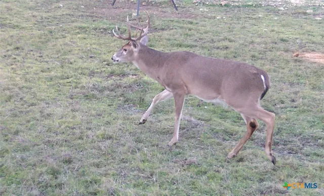 a backyard of a house