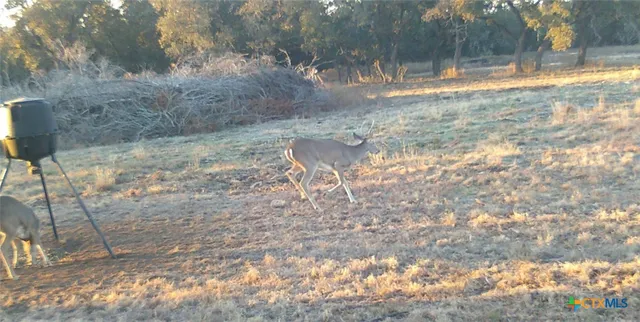 $330,000 | 570 Private Road 42103, Evant, TX 76525