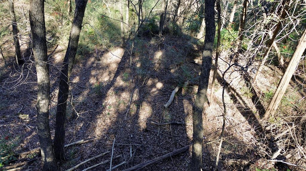 1917 Juniper Ridge Road Cedar Hill, TX 75104 - Photo 18 of 23 a view of tree