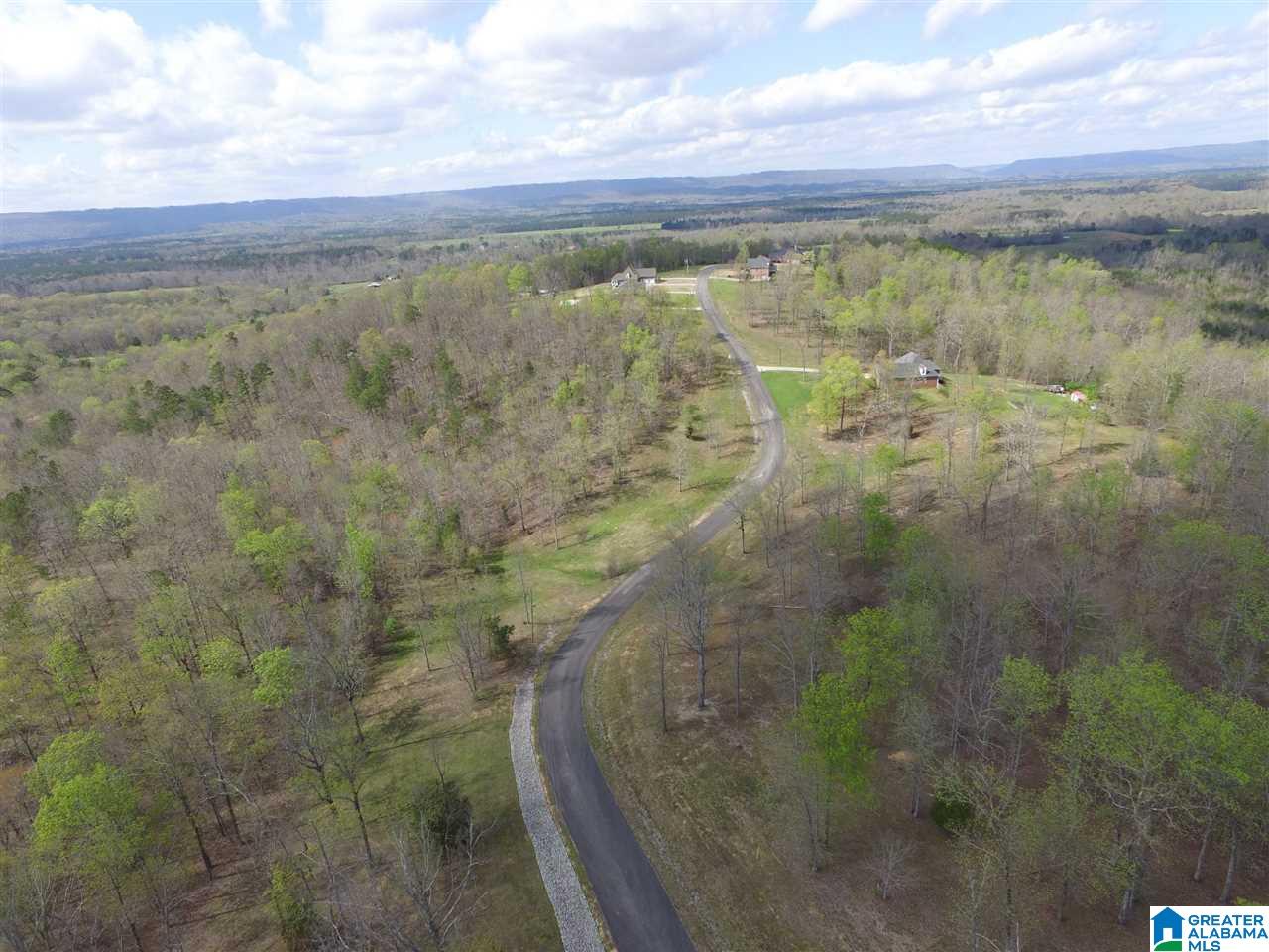 414 Stone Ridge, Unit 5 AND 6 Springville, AL 35146 - Photo 5 of 20