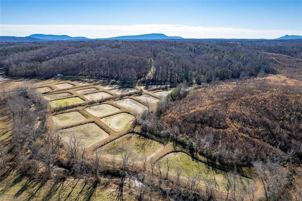 1316 Locust Grove Road Mount Airy, NC 27030 - Photo 1 of 36