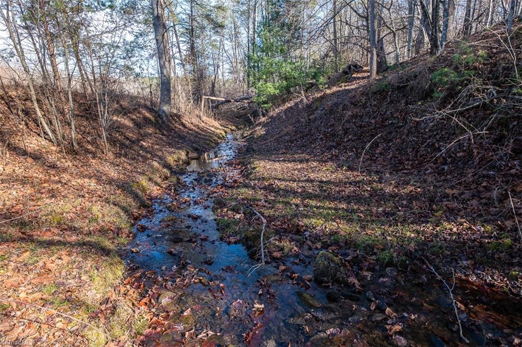 1316 Locust Grove Road Mount Airy, NC 27030 - Photo 12 of 36