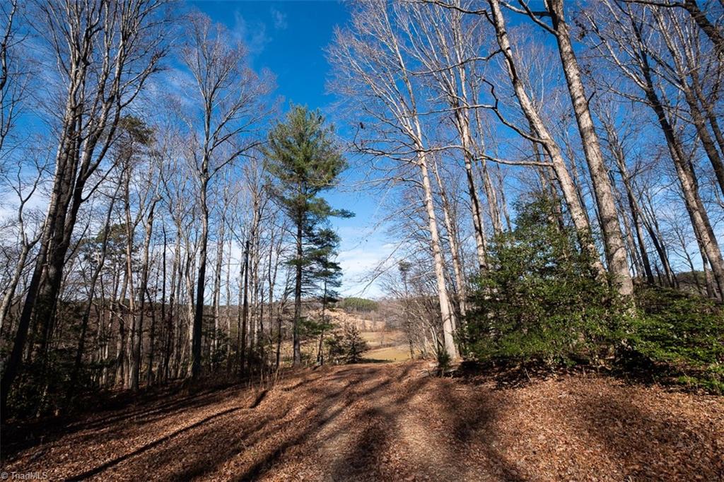 1316 Locust Grove Road Mount Airy, NC 27030 - Photo 14 of 36