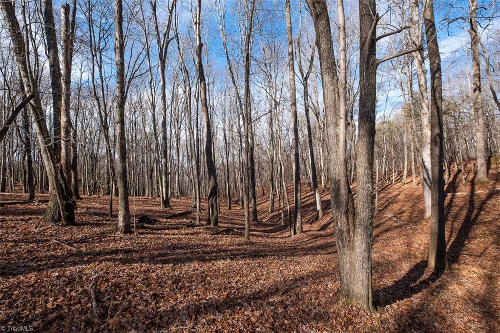 1316 Locust Grove Road Mount Airy, NC 27030 - Photo 16 of 36