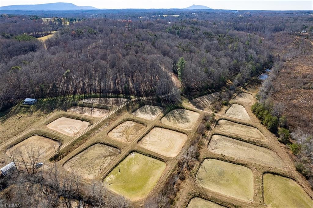1316 Locust Grove Road Mount Airy, NC 27030 - Photo 19 of 36