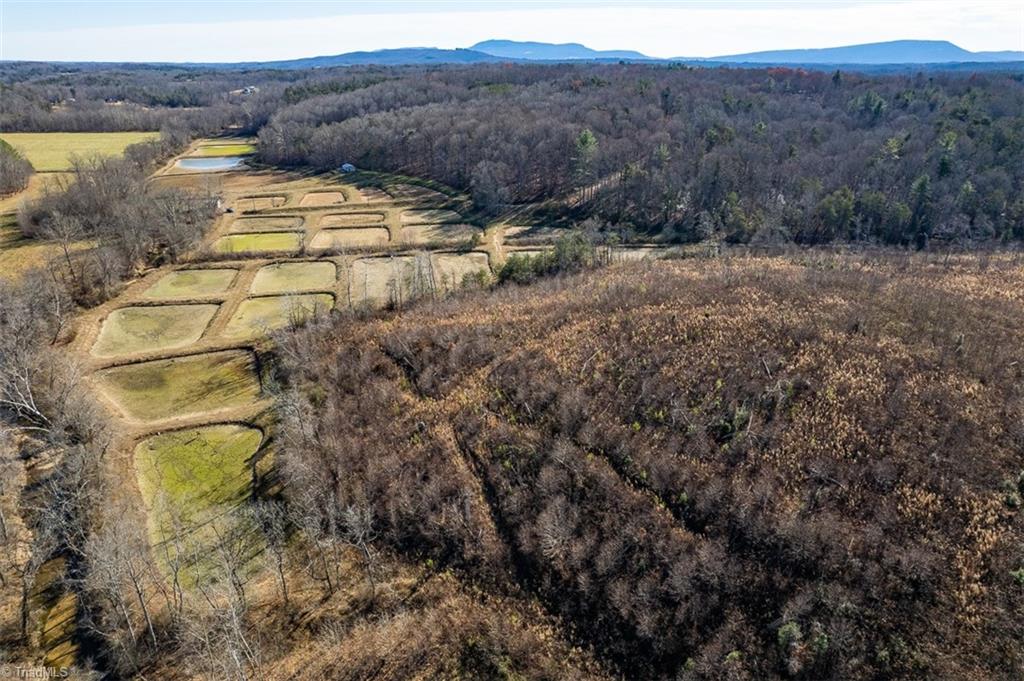 1316 Locust Grove Road Mount Airy, NC 27030 - Photo 21 of 36