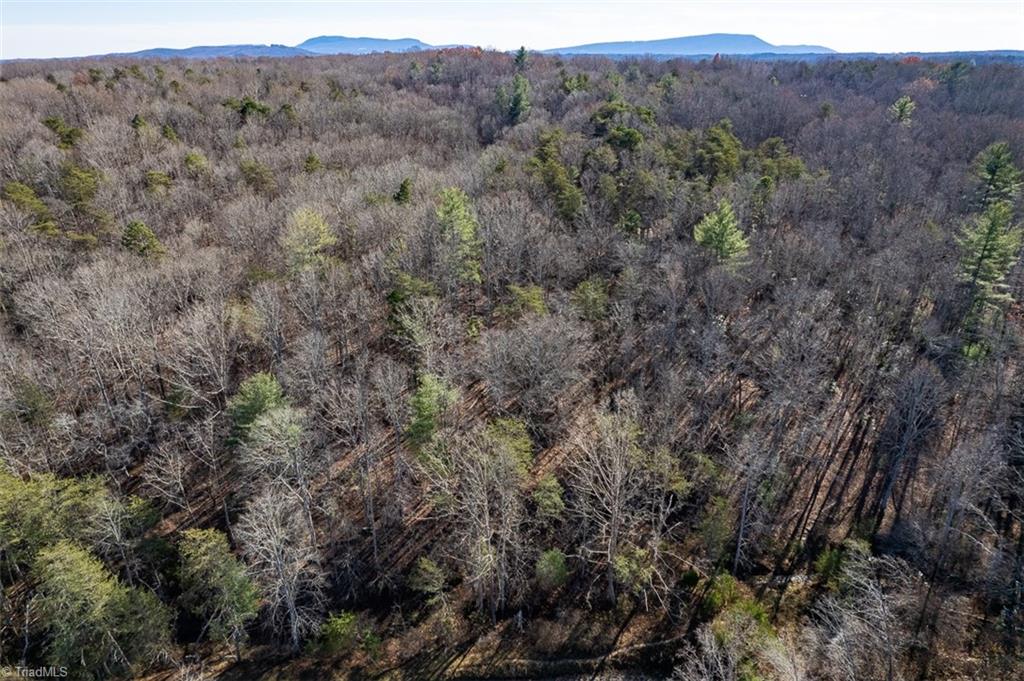 1316 Locust Grove Road Mount Airy, NC 27030 - Photo 28 of 36