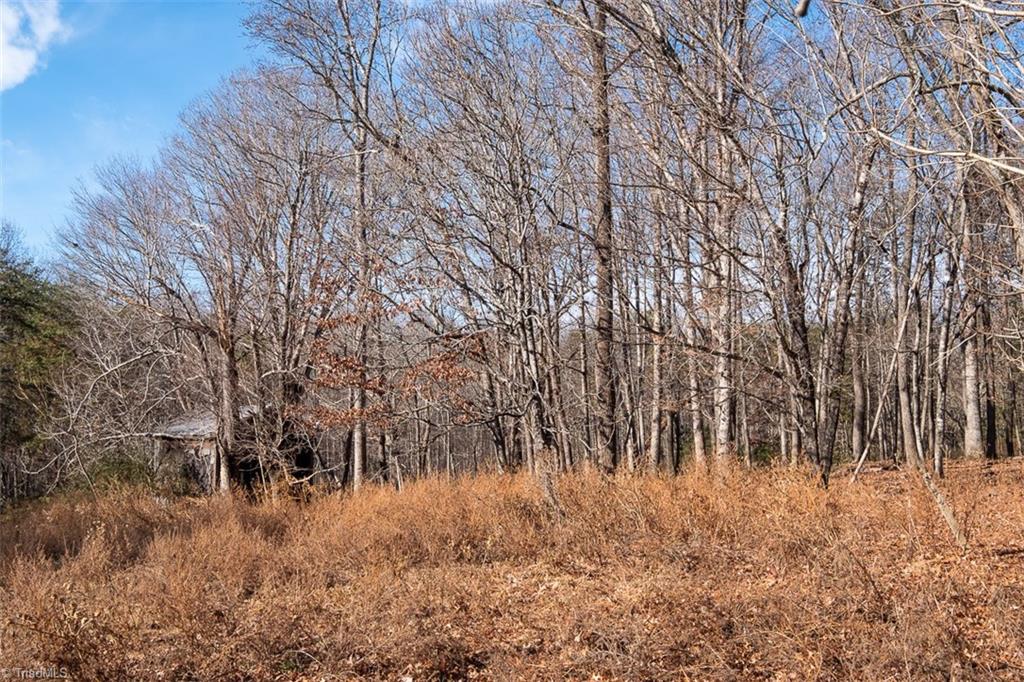 1316 Locust Grove Road Mount Airy, NC 27030 - Photo 7 of 36