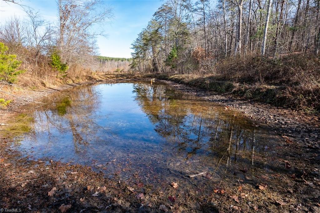 1316 Locust Grove Road Mount Airy, NC 27030 - Photo 10 of 36
