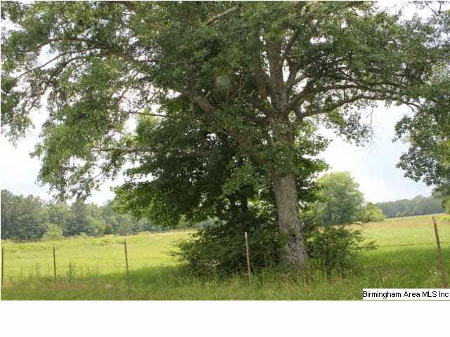 1525 Oakley Station Road Randolph, AL 36792 - Photo 5 of 20