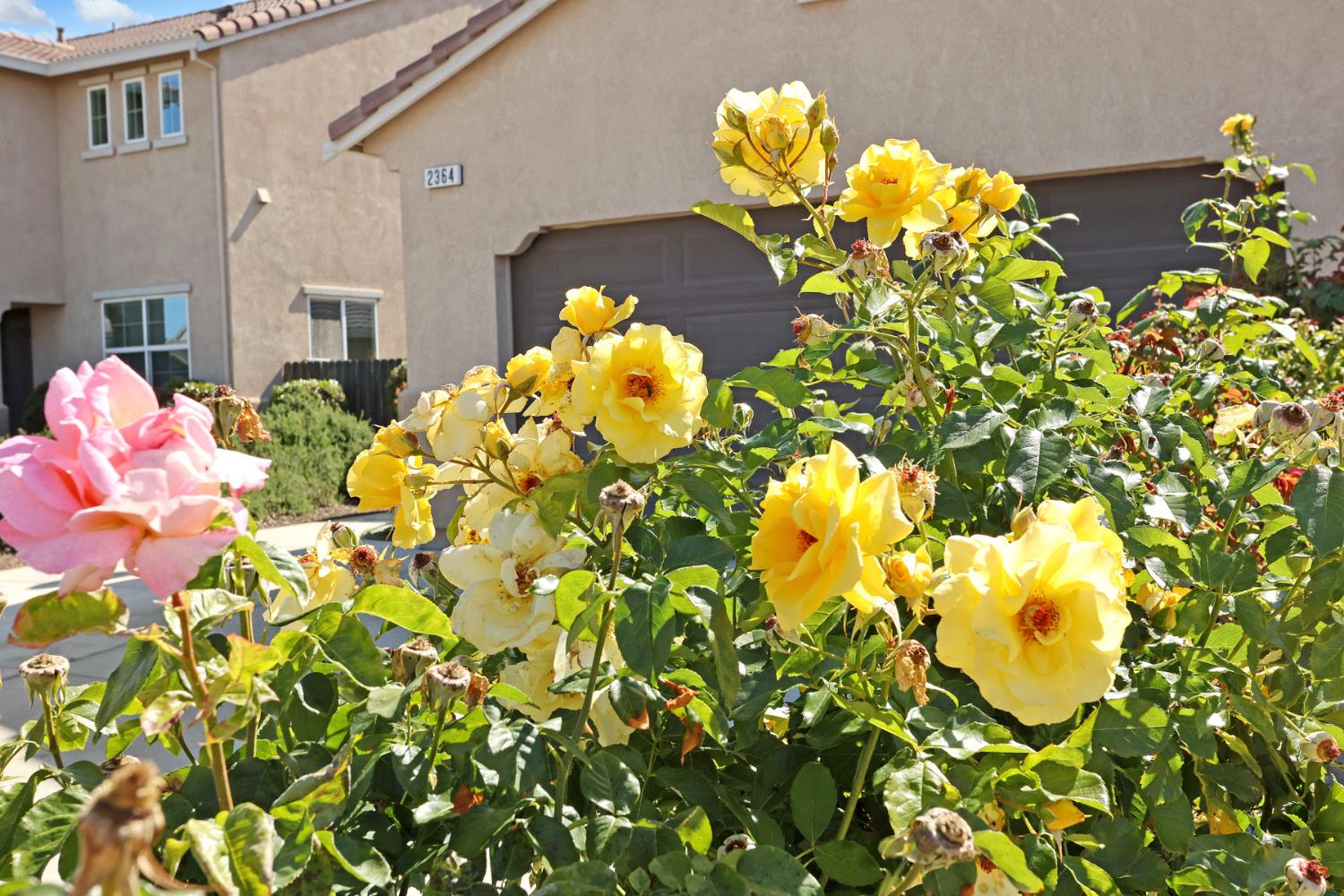 2364 Inyo Place Manteca, CA 95337 - Photo 6 of 69