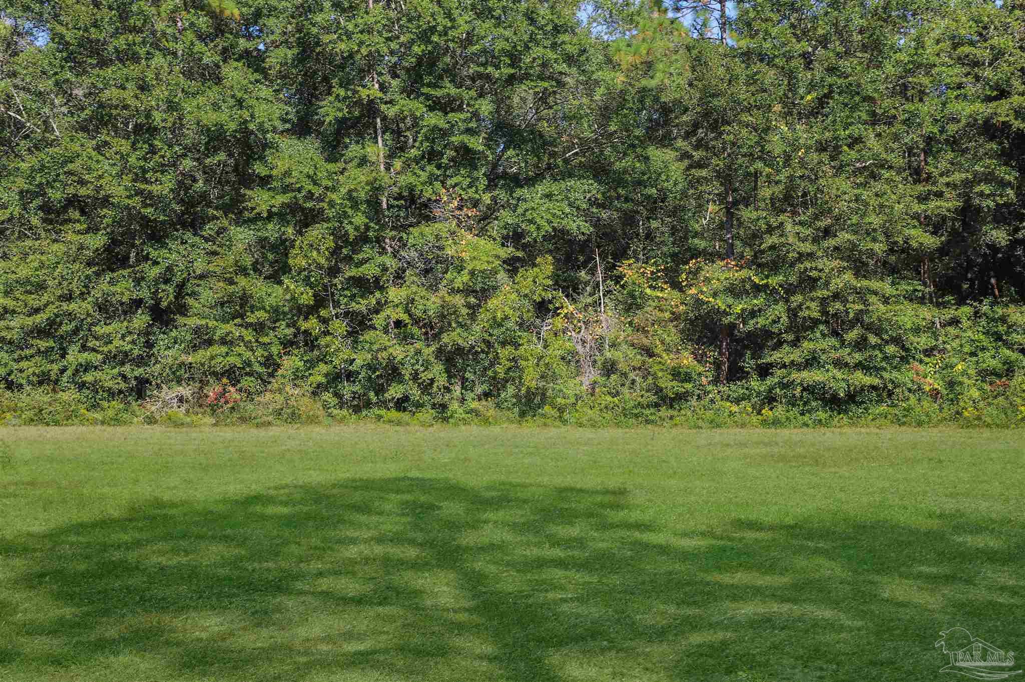 4454 Lyons Place Holt, FL 32564 - Photo 44 of 53 a view of a grassy field with trees