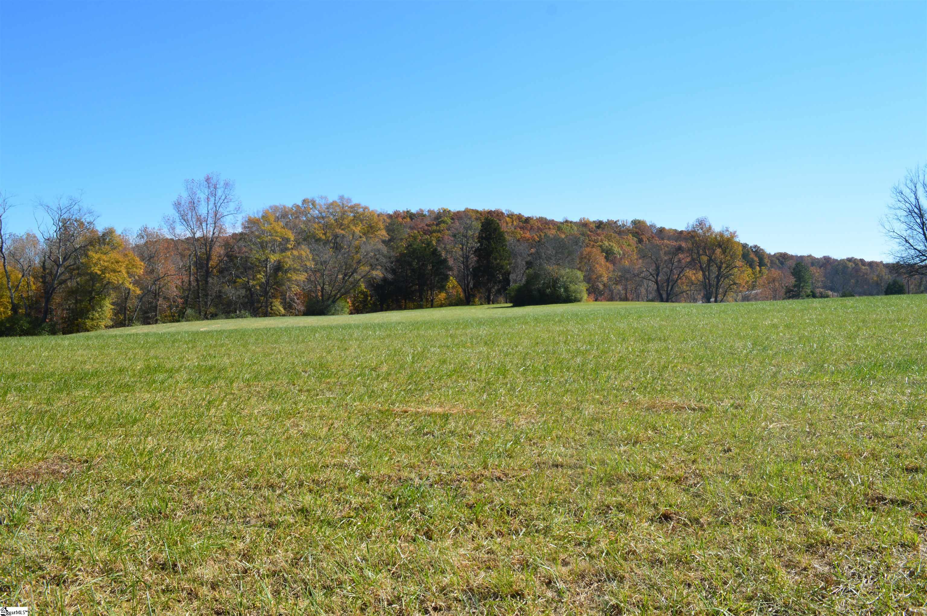 2350 Fairview Farms Road, Unit TRACT A Landrum, SC 29356 - Photo 2 of 10