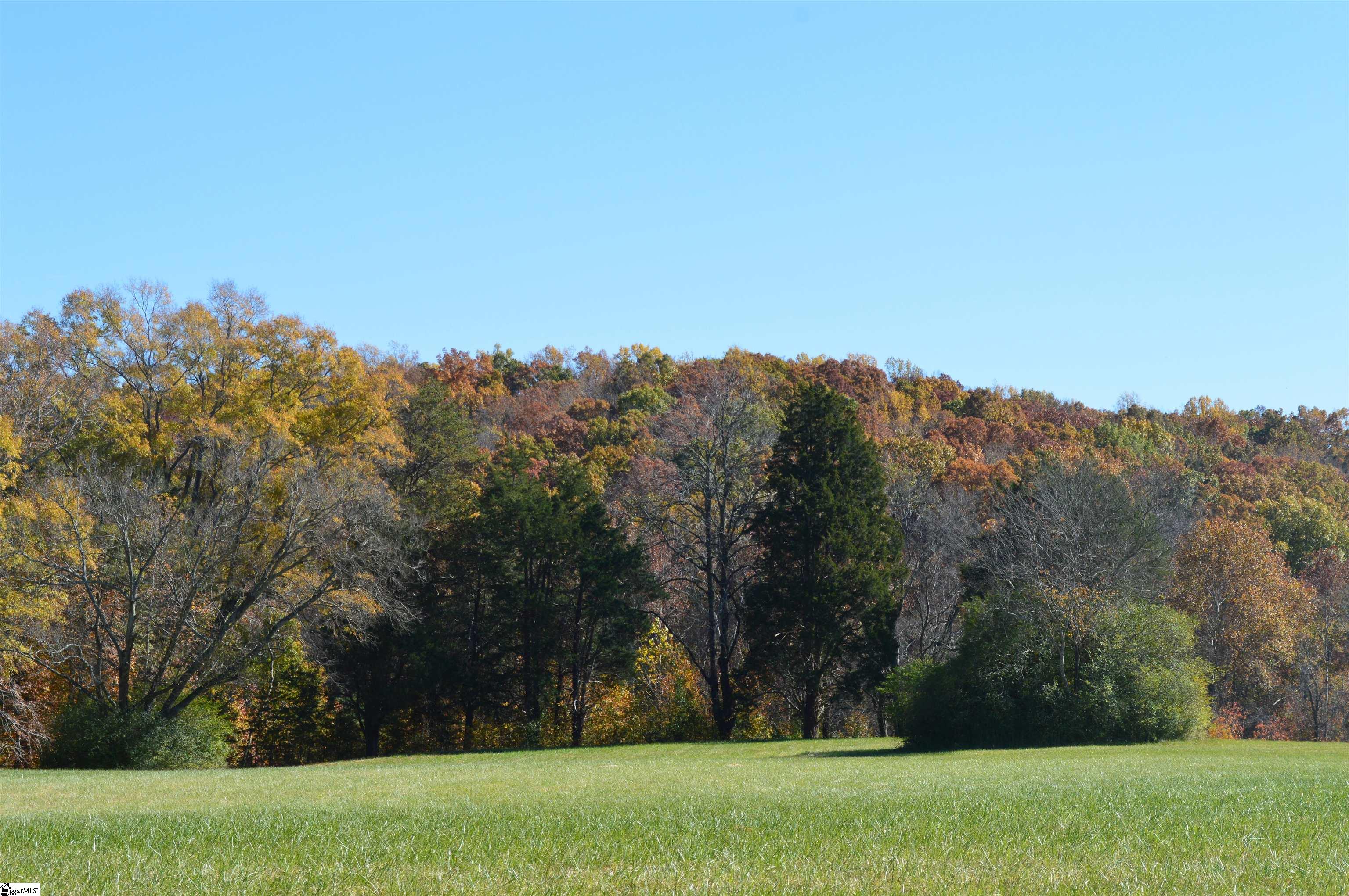 2350 Fairview Farms Road, Unit TRACT A Landrum, SC 29356 - Photo 3 of 10