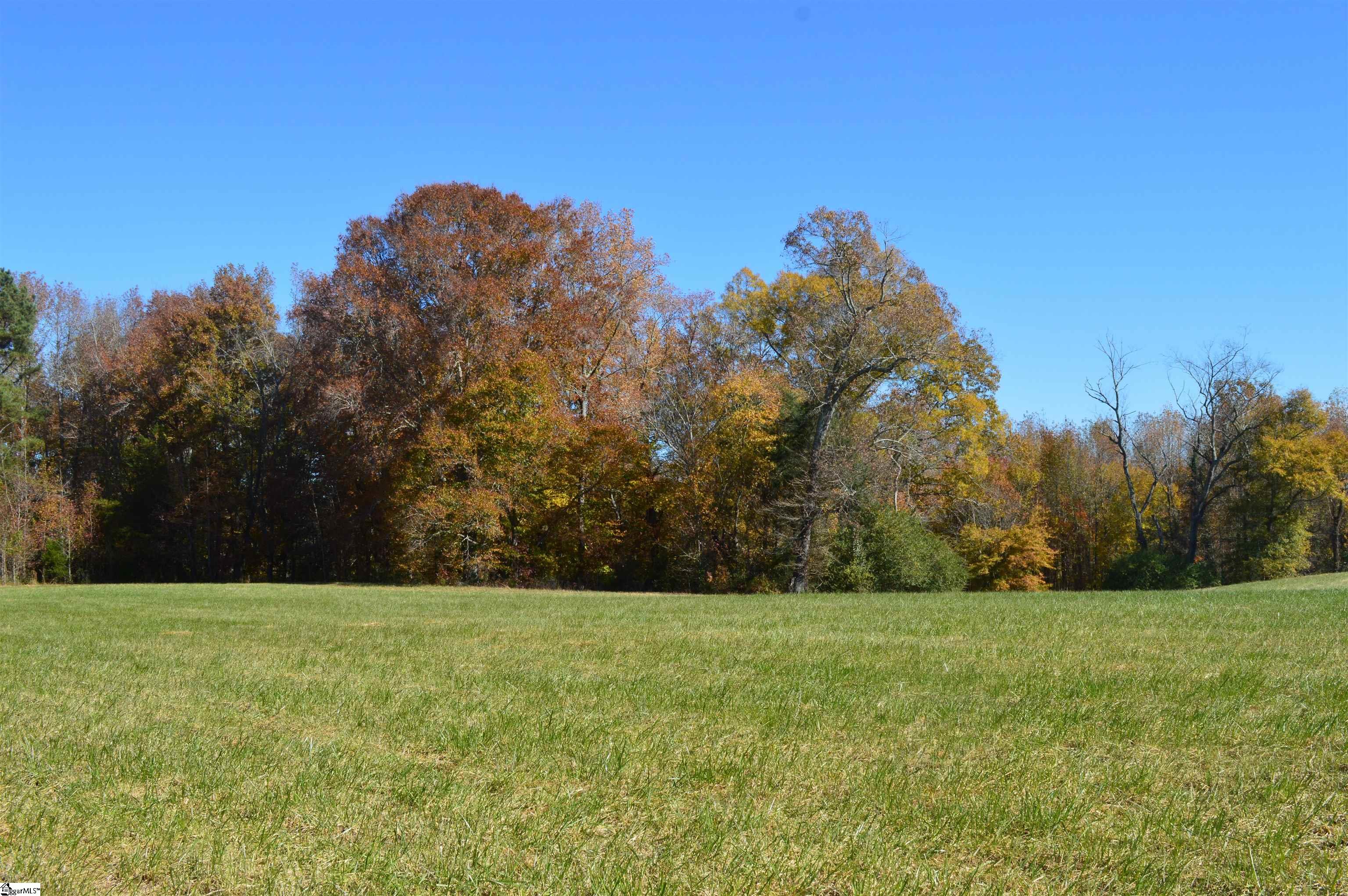 2350 Fairview Farms Road, Unit TRACT A Landrum, SC 29356 - Photo 4 of 10