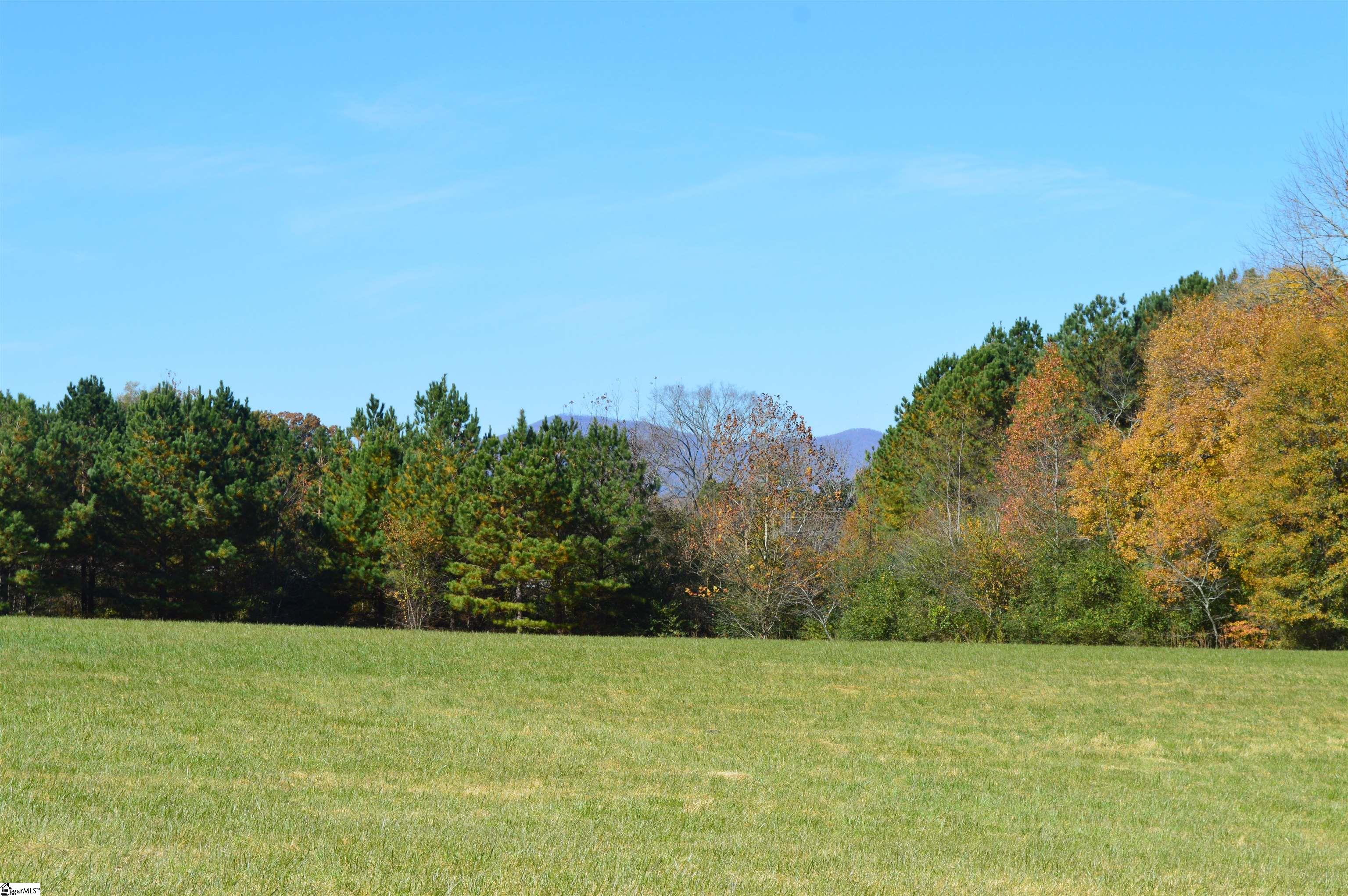 2350 Fairview Farms Road, Unit TRACT A Landrum, SC 29356 - Photo 5 of 10