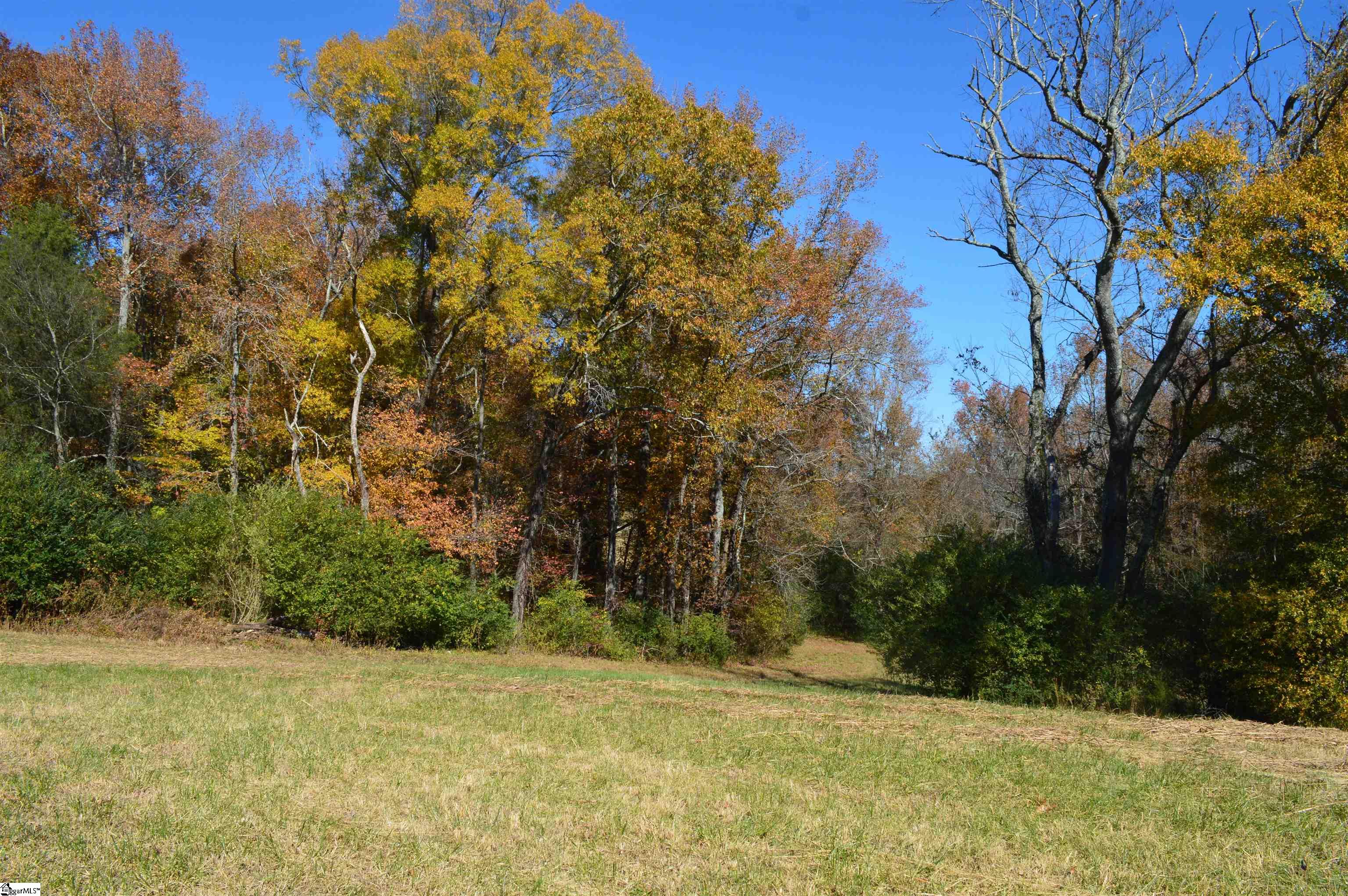 2350 Fairview Farms Road, Unit TRACT A Landrum, SC 29356 - Photo 6 of 10