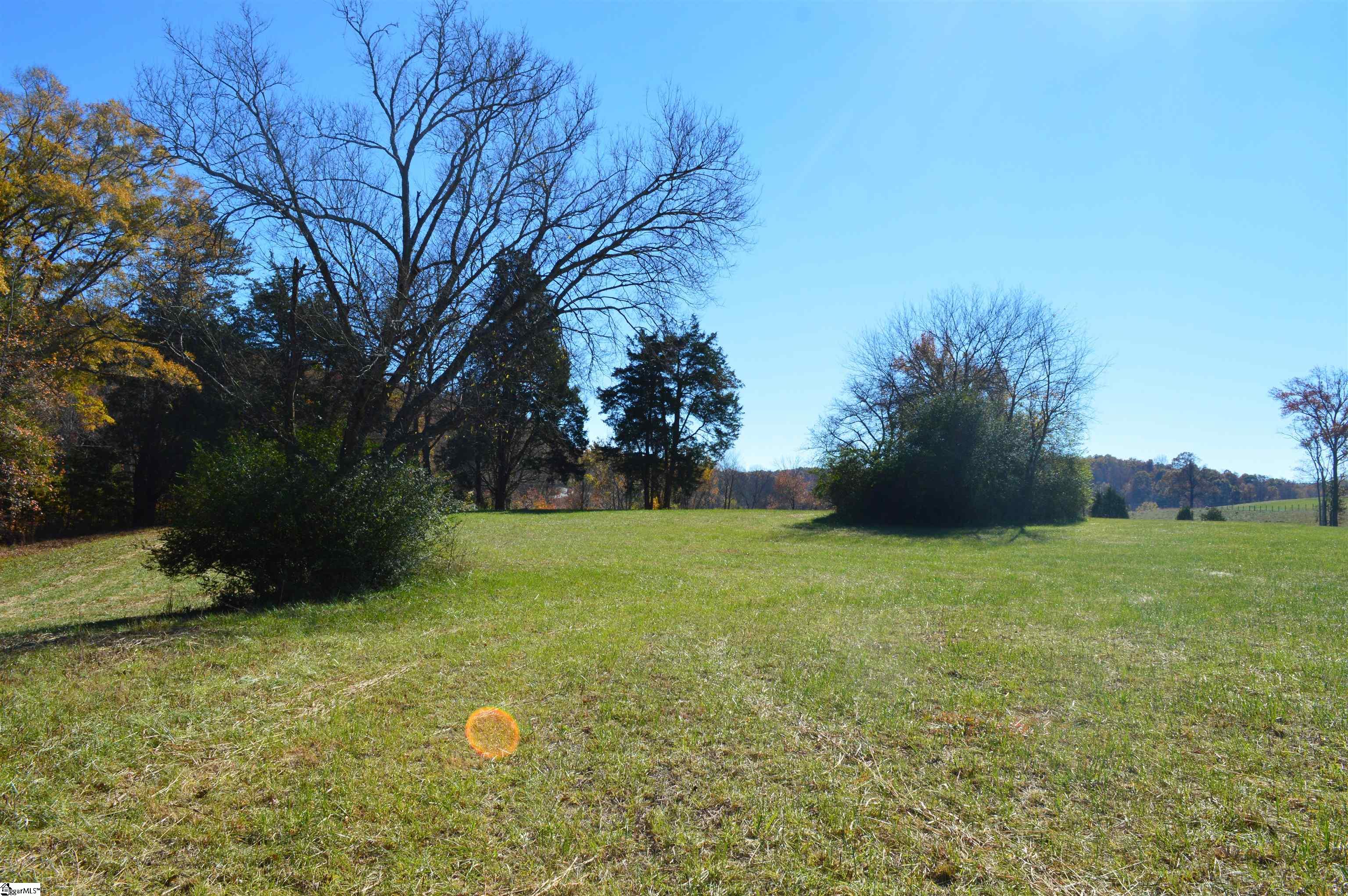 2350 Fairview Farms Road, Unit TRACT A Landrum, SC 29356 - Photo 7 of 10