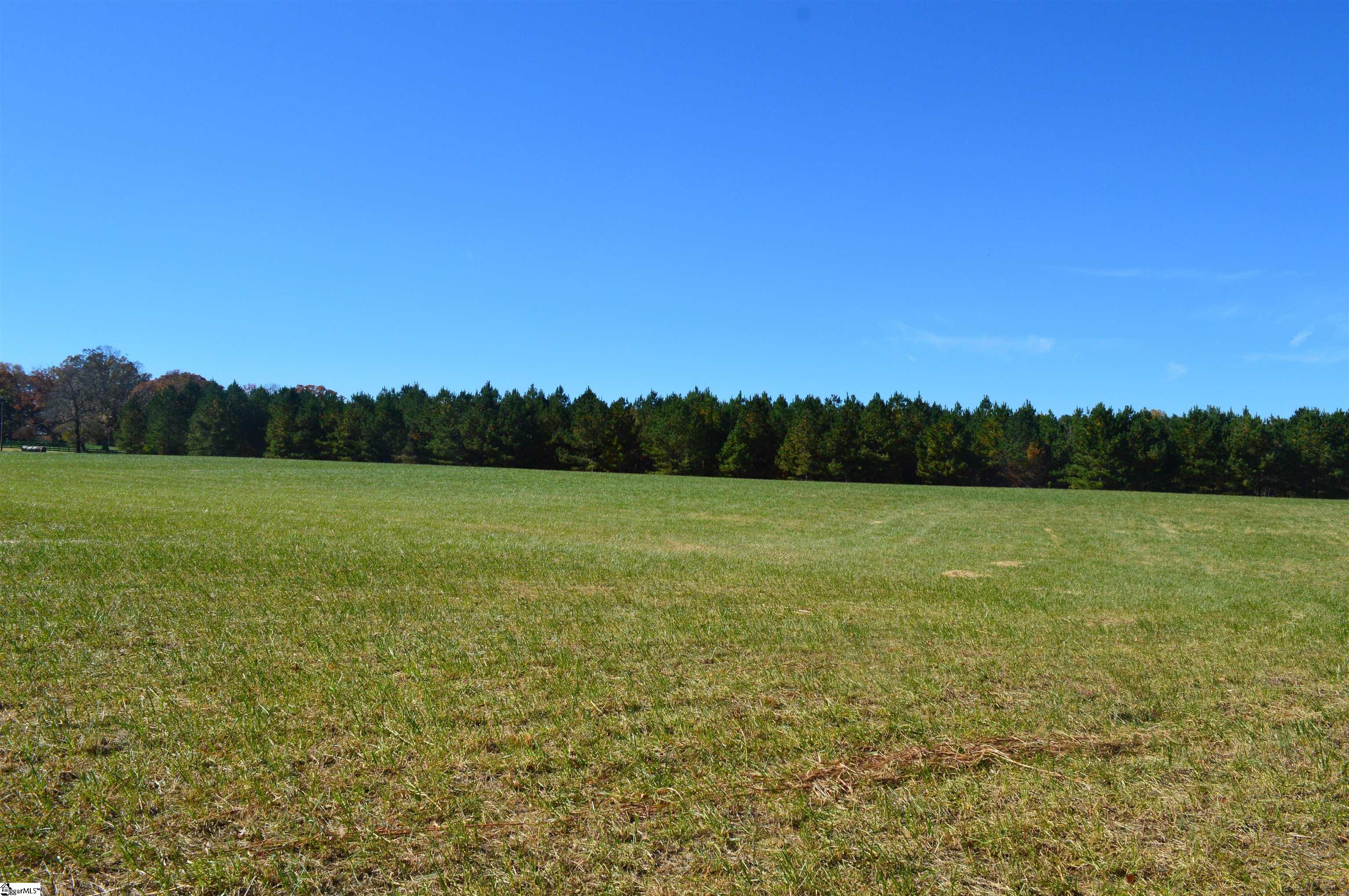 2350 Fairview Farms Road, Unit TRACT A Landrum, SC 29356 - Photo 8 of 10