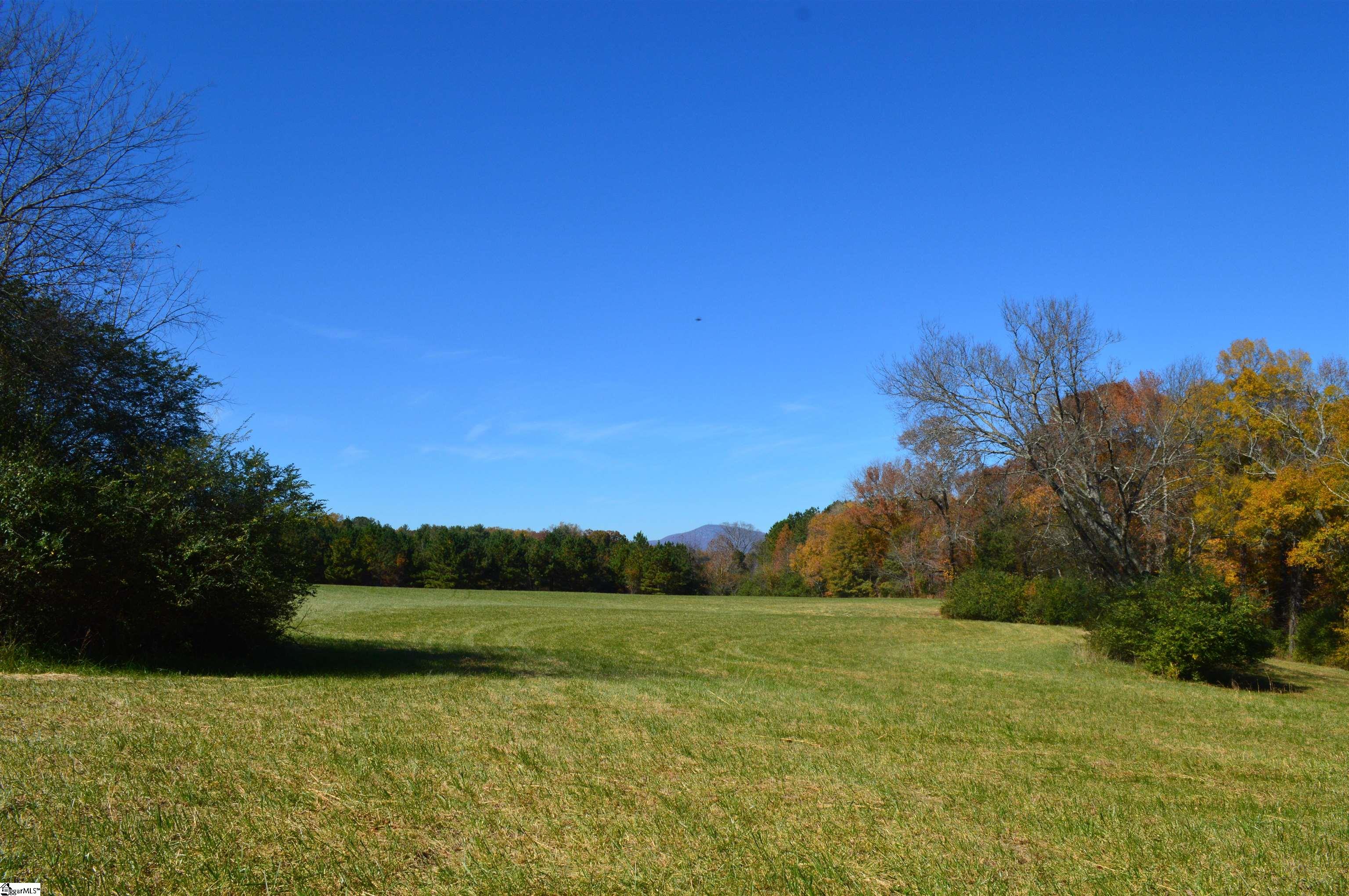 2350 Fairview Farms Road, Unit TRACT A Landrum, SC 29356 - Photo 10 of 10