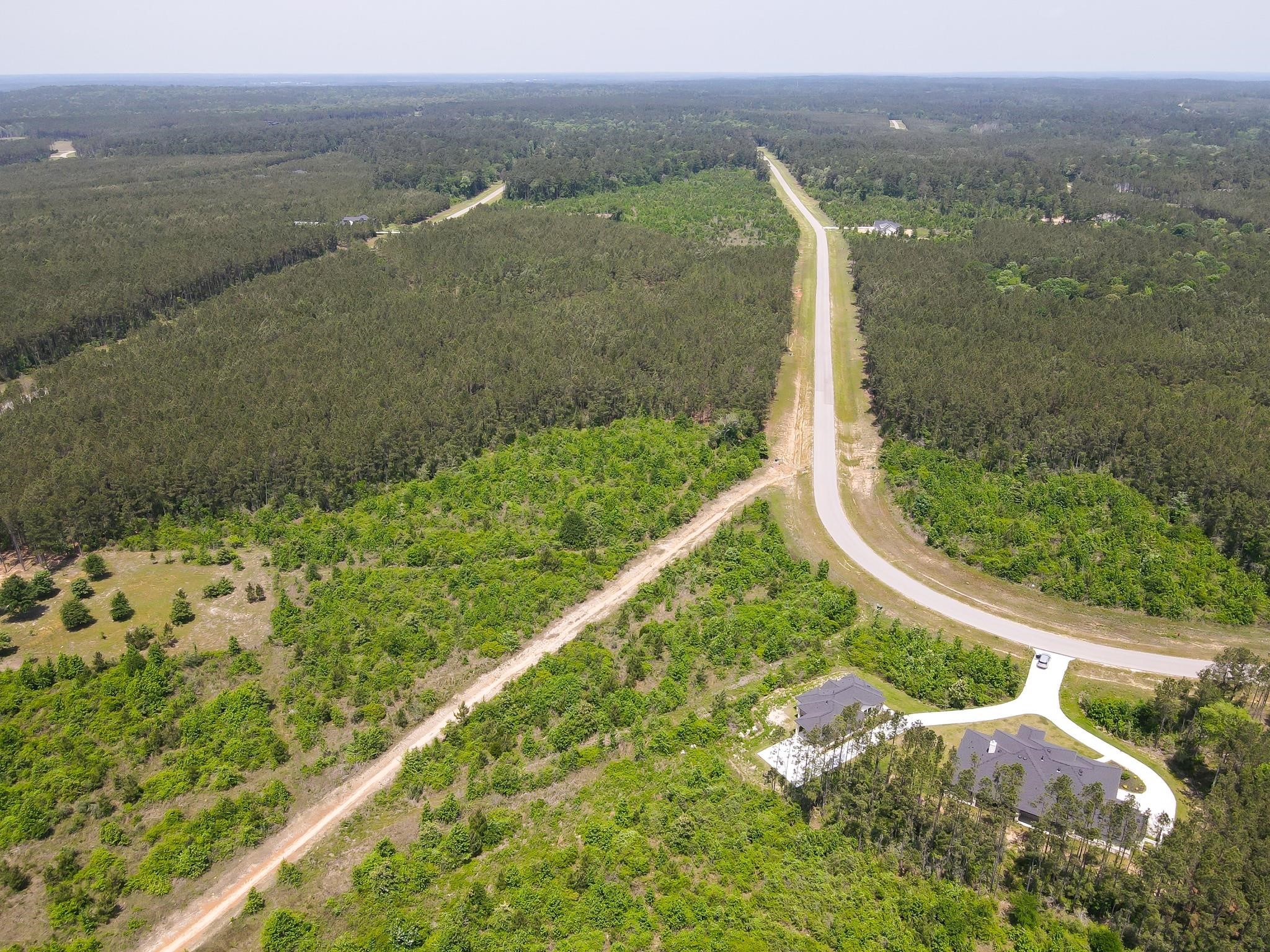 16089 Forest Mill Road Willis, TX 77378 - Photo 10 of 12
