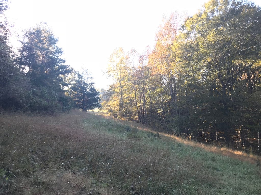 3956 Penlan Road New Canton, VA 23123 - Photo 25 of 33 Gallery Image 25