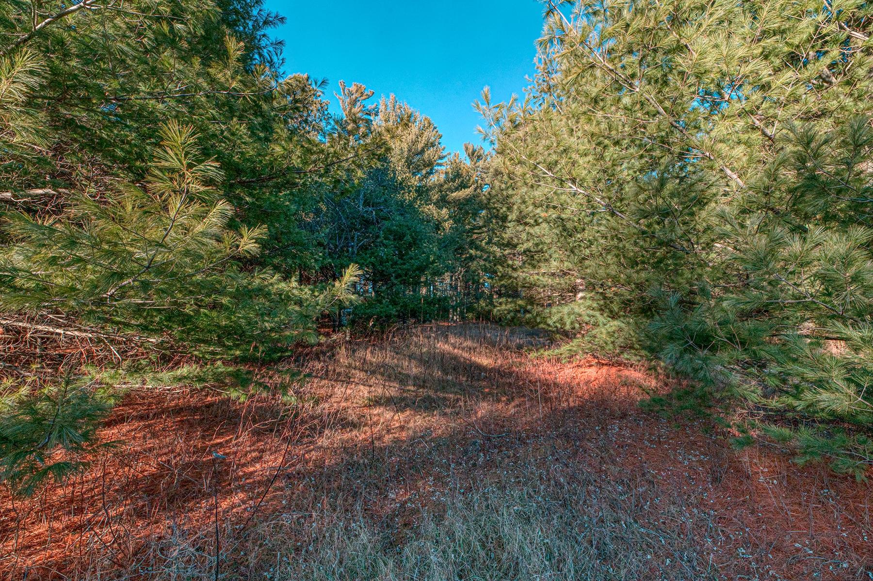 4616 West Sand Lake Road Mercer, WI 54547 - Photo 26 of 28 Gallery Image 26