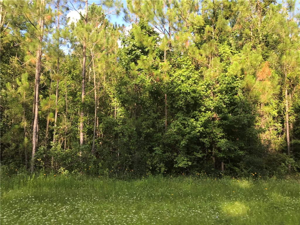 2-5 Edwards Road Yulee, FL 32097 - Photo 2 of 3 Gallery Image 2