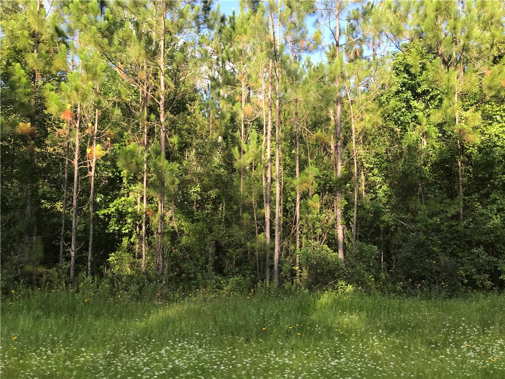 2-5 Edwards Road Yulee, FL 32097 - Photo 3 of 3 Gallery Image 3