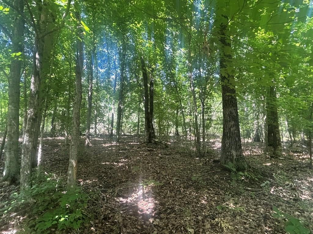Coal Road Loop Crofton, KY 42217 - Photo 3 of 17 Gallery Image 3