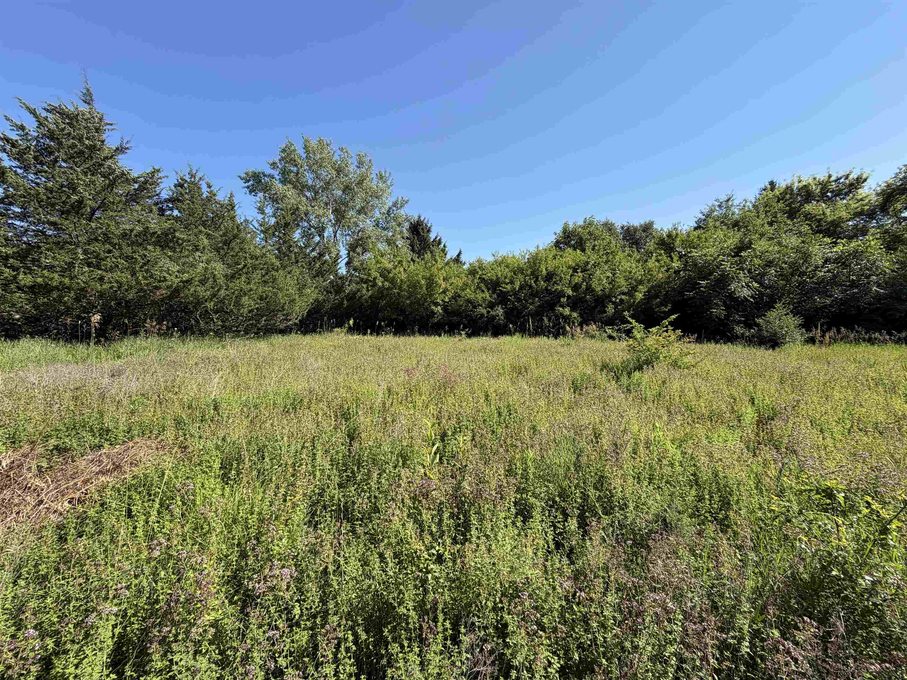 Lot 5 Sky High Poynette, WI 53955 - Photo 7 of 10