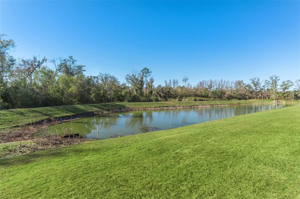 12931 Conquistador Loop Spring Hill, FL 34610 - Photo 42 of 61 Gallery Image 42