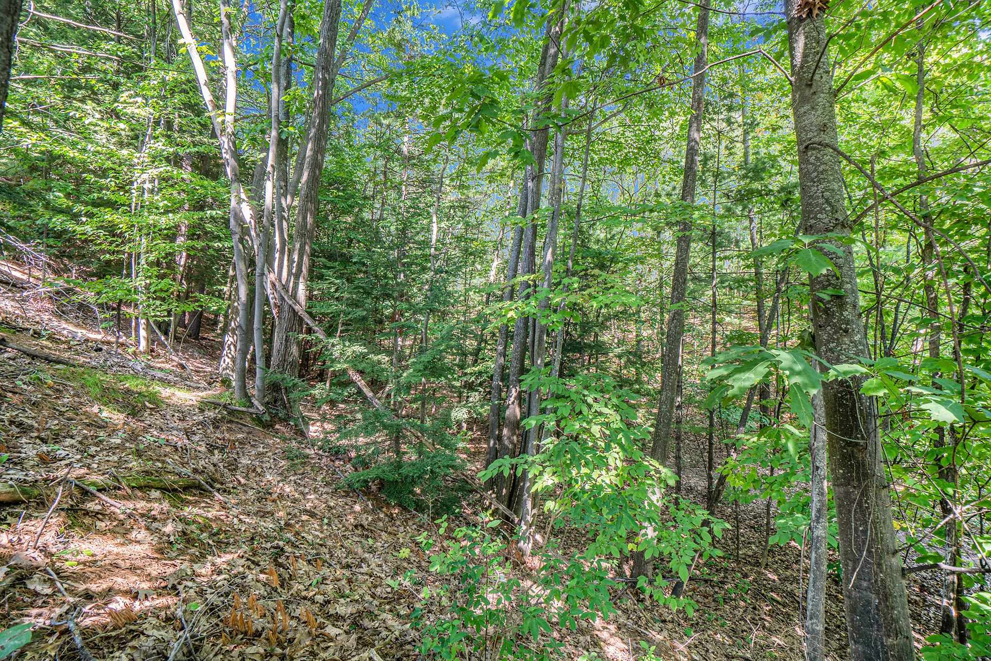 555 Hidden Ridge Drive Traverse City, MI 49686 - Photo 22 of 28