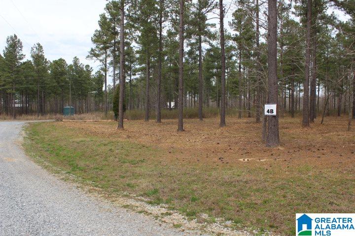 Liberty Shores Boulevard Vincent, AL 35178 - Photo 10 of 11
