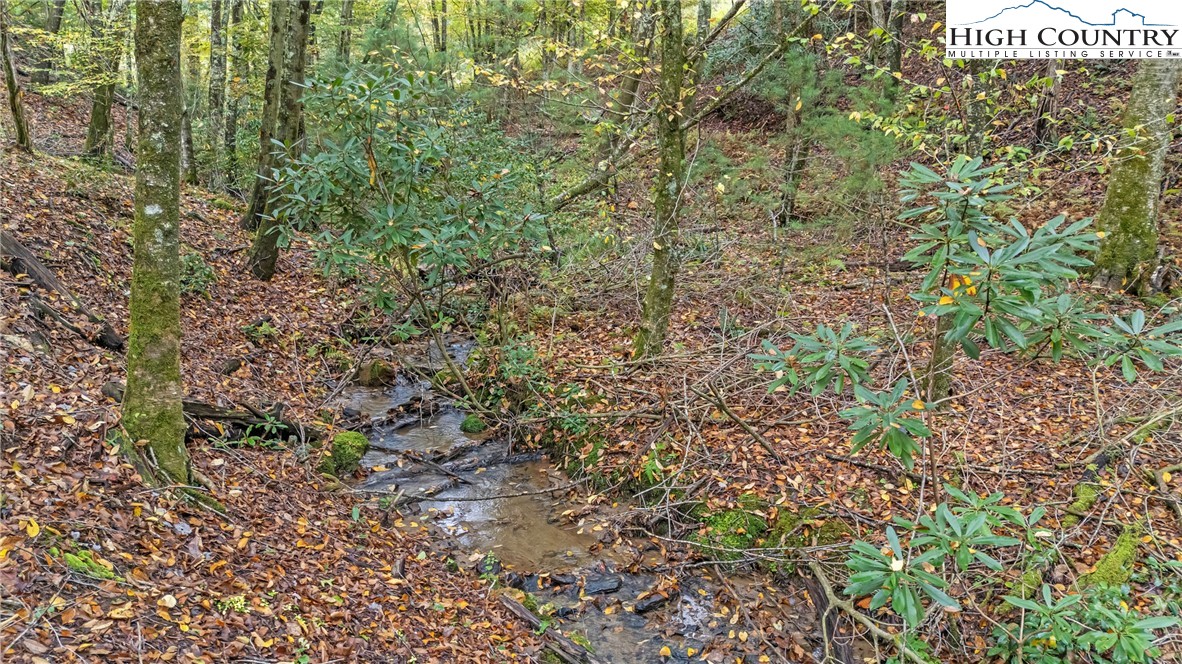 201 Eagles Nest Trail West Jefferson, NC 28694 - Photo 36 of 43 a view of a plants and yard
