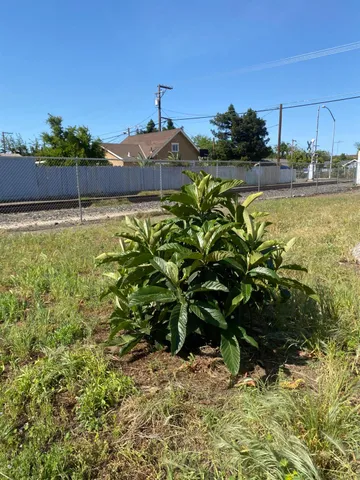a backyard of a house with lots of green space