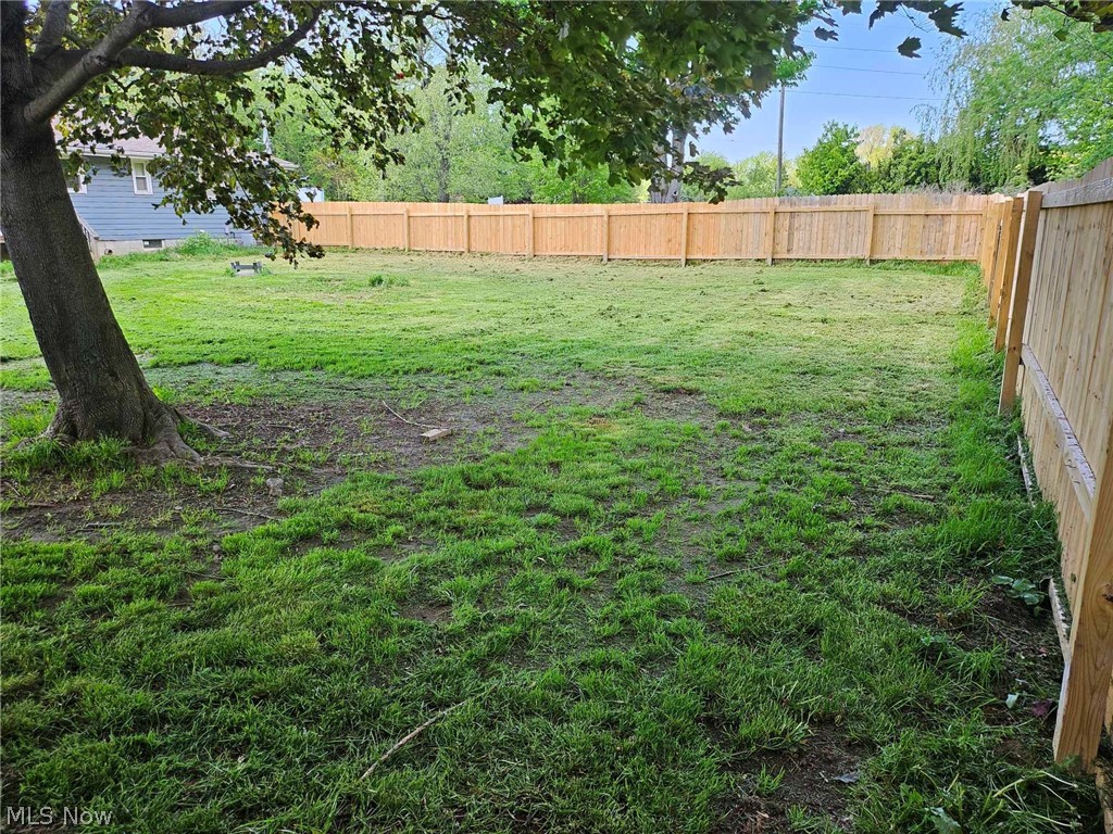 346 Amboy Road Conneaut, OH 44030 - Photo 33 of 41 View of yard