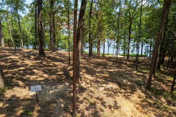 $450,000 | Tbd Tbd Prairie, Leesburg, TX 75451