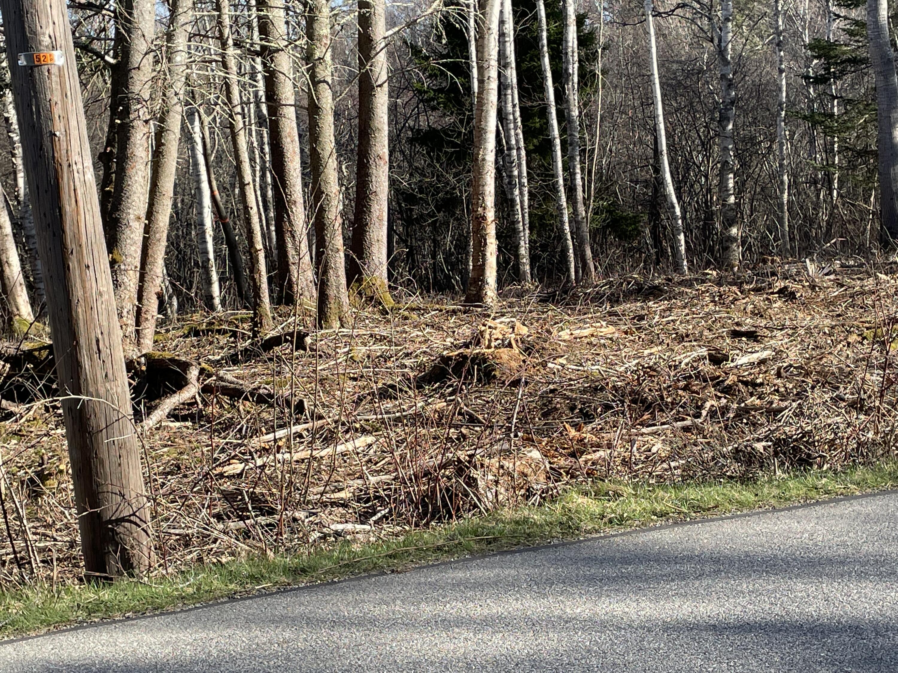 0 North Shore Road North Haven, ME 04853 - Photo 2 of 5 IMG_1467