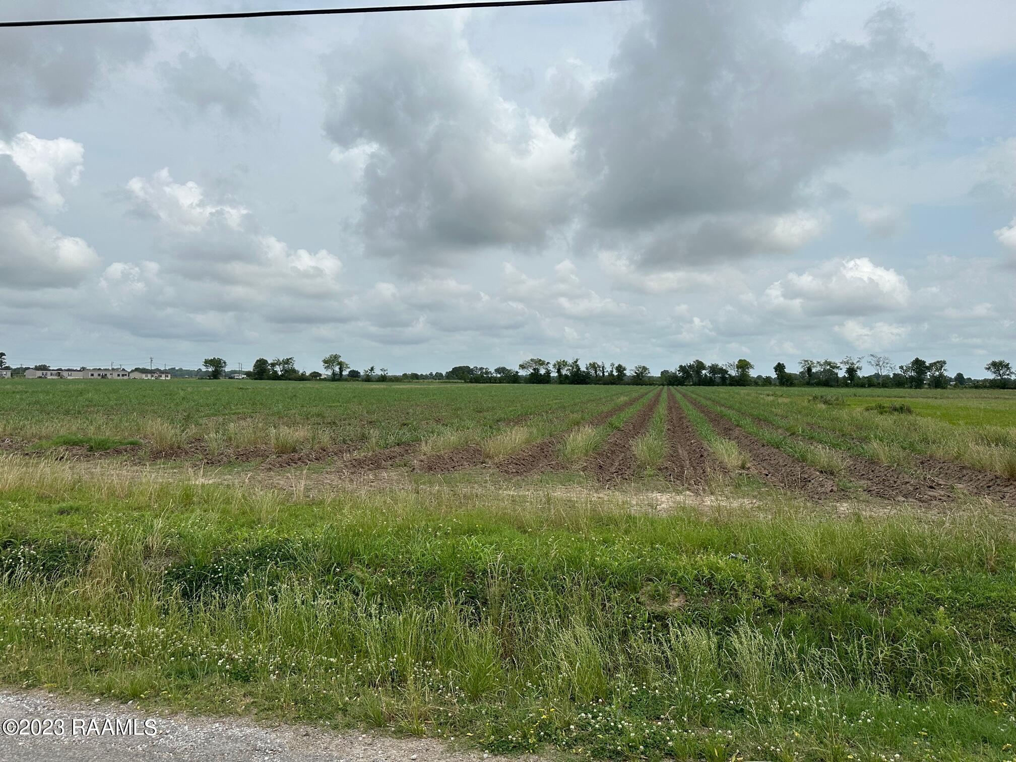 Tba Albert Road Abbeville, LA 70510 - Photo 6 of 7
