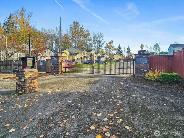 a view of a park with large trees