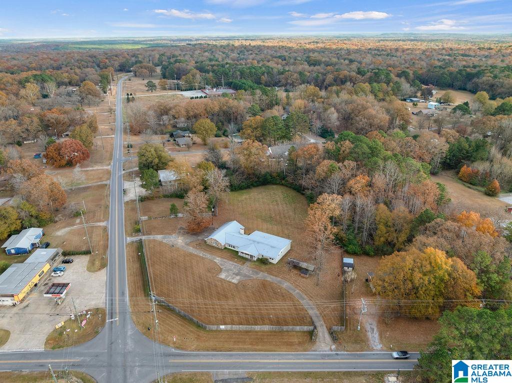 2366 North Walston Bridge Road Jasper, AL 35504 - Photo 46 of 52
