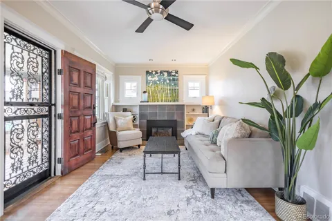 a living room with furniture and a potted plant