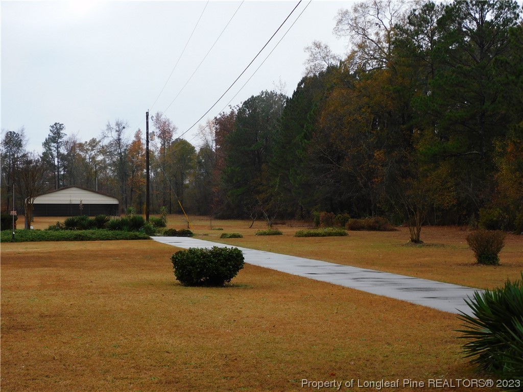 539 Bertha Jones Road Rowland, NC 28383 - Photo 3 of 26 Gallery Image 3