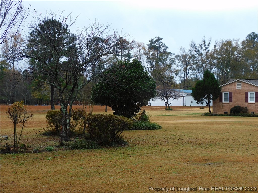 539 Bertha Jones Road Rowland, NC 28383 - Photo 4 of 26 Gallery Image 4