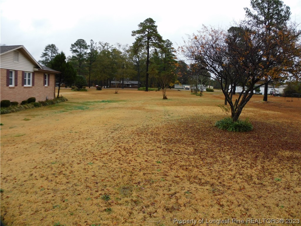 539 Bertha Jones Road Rowland, NC 28383 - Photo 5 of 26 Gallery Image 5