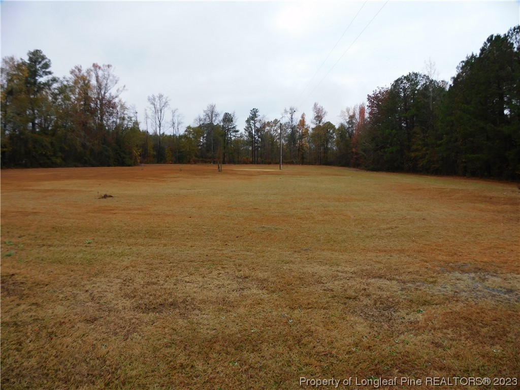 539 Bertha Jones Road Rowland, NC 28383 - Photo 7 of 26 Gallery Image 7