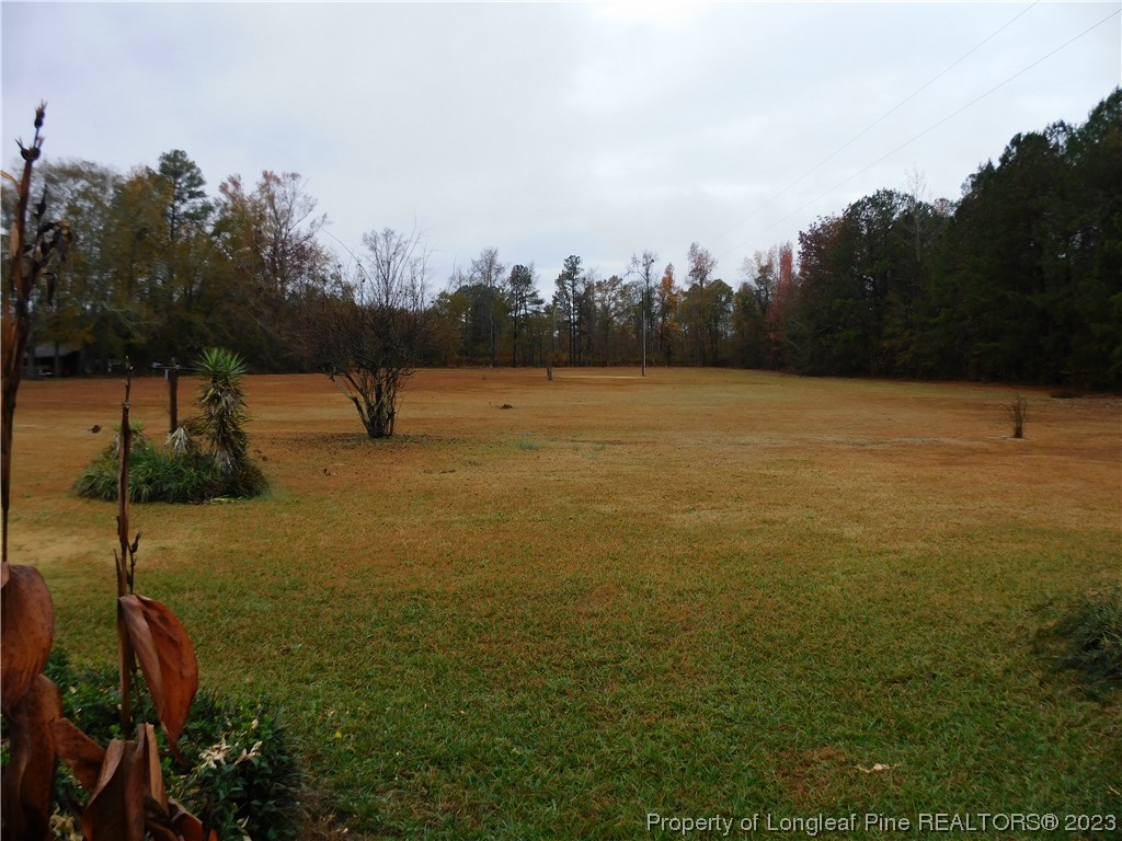 539 Bertha Jones Road Rowland, NC 28383 - Photo 8 of 26 Gallery Image 8
