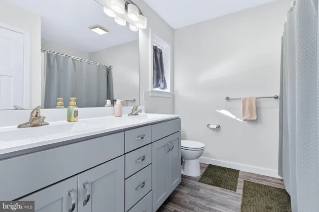 a bathroom with a double vanity sink toilet and a mirror